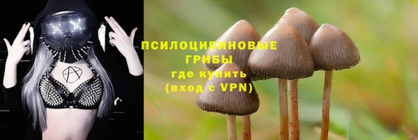 герыч Арсеньев
