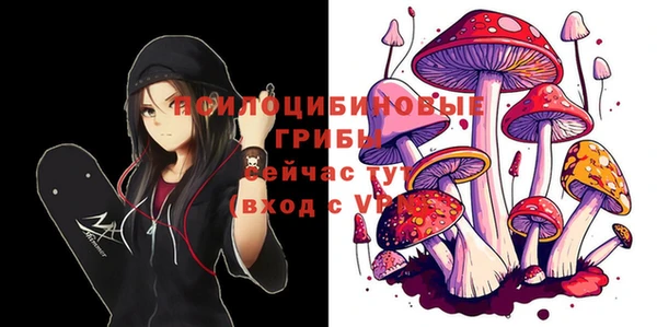 герыч Арсеньев