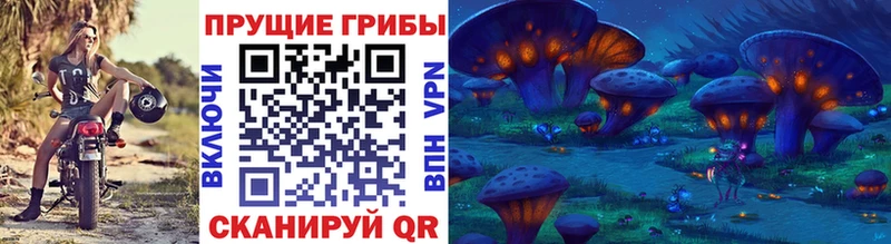 купить  сайты  Фатеж  Псилоцибиновые грибы GOLDEN TEACHER 